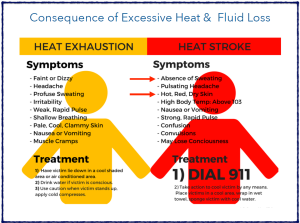 signs of'heat exhasution heat stroke