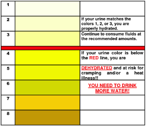 urine chart