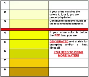 urine chart